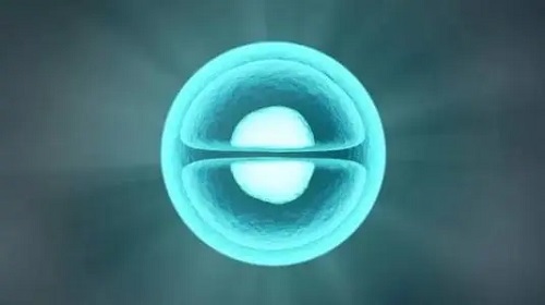試管嬰兒胚胎質量取決于精子還是卵子？