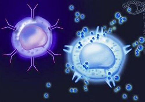 試管嬰兒胚胎質量取決于精子還是卵子？