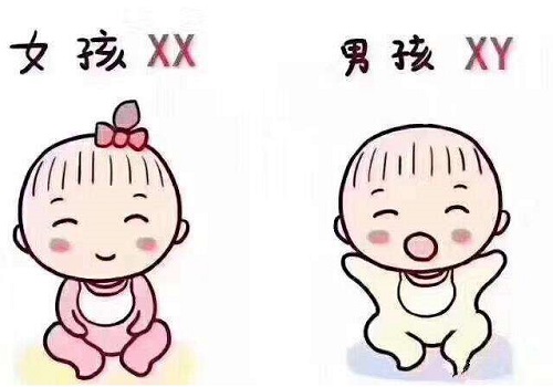 現在泰國試管多少錢