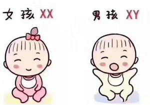 現(xiàn)在泰國(guó)試管多少錢