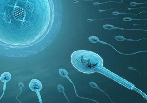 到泰國做試管嬰兒生一個小孩要多少錢