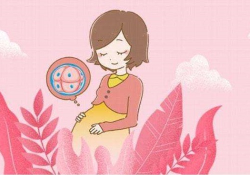 做試管嬰兒需要多少錢