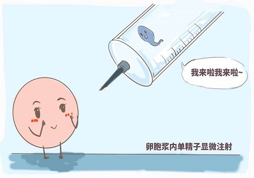 做第三代試管嬰兒費用大概多少