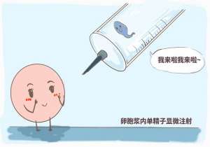 做第三代試管嬰兒費用大概多少