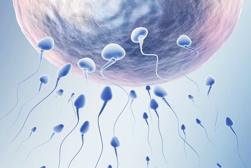 子宮內膜薄做三代試管嬰兒的成功率是多少