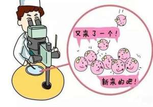 做試管嬰兒的條件是什么