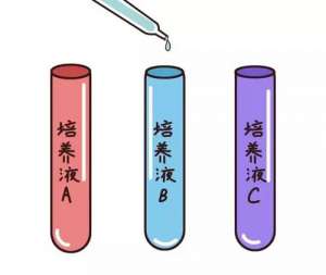 子宮內膜過薄可以做試管嗎