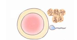 試管嬰兒的費(fèi)用包括哪些呢