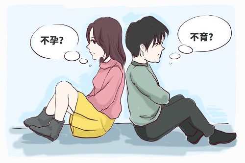 美國試管嬰兒的環節需要多少天