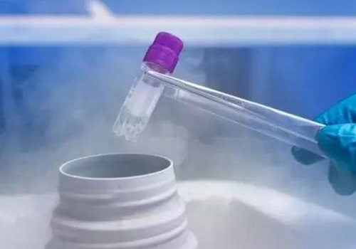 泰國做試管嬰兒需要辦理哪些手續