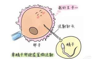 俄羅斯試管嬰兒機(jī)構(gòu)費(fèi)用